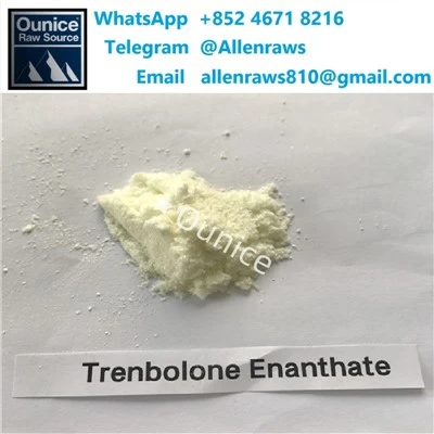 Köp Trenbolone Enanthate Chinese High-purity Steroid Powder